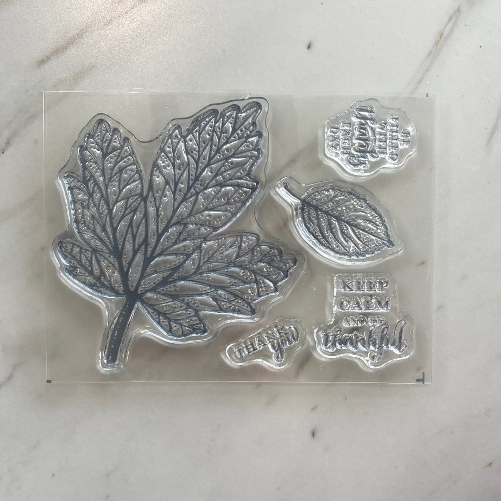 Stampin Up Paper Pumpkin Fall Leaves Stamp Set